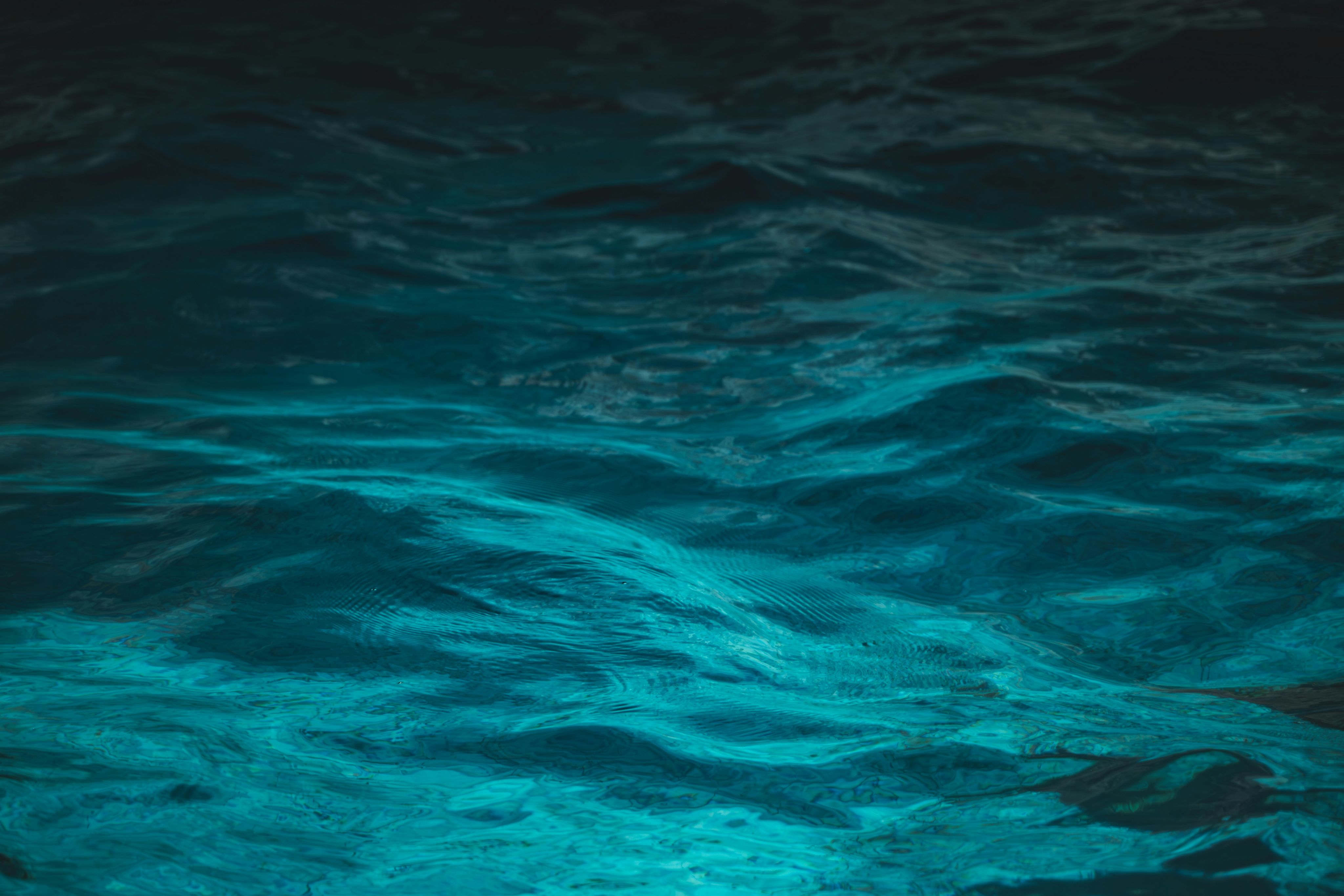 Deep blue water with subtle waves.